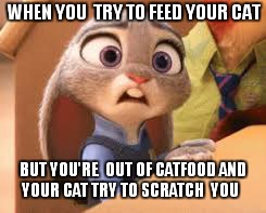 That One Zootopia Meme | WHEN YOU  TRY TO FEED YOUR CAT; BUT YOU'RE  OUT OF CATFOOD AND YOUR CAT TRY TO SCRATCH  YOU | image tagged in that one zootopia meme | made w/ Imgflip meme maker