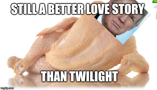 sexy chicken | STILL A BETTER LOVE STORY; THAN TWILIGHT | image tagged in sexy chicken | made w/ Imgflip meme maker