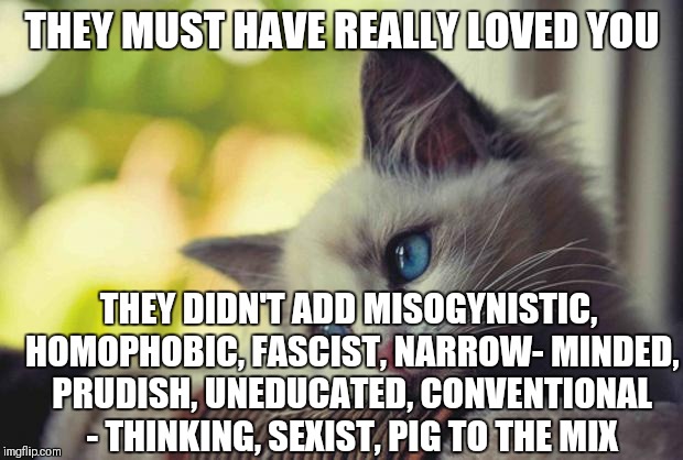 THEY MUST HAVE REALLY LOVED YOU THEY DIDN'T ADD MISOGYNISTIC, HOMOPHOBIC, FASCIST, NARROW- MINDED, PRUDISH, UNEDUCATED, CONVENTIONAL - THINK | made w/ Imgflip meme maker