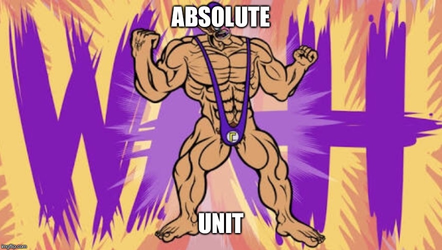 ABSOLUTE; UNIT | image tagged in absolute unit | made w/ Imgflip meme maker