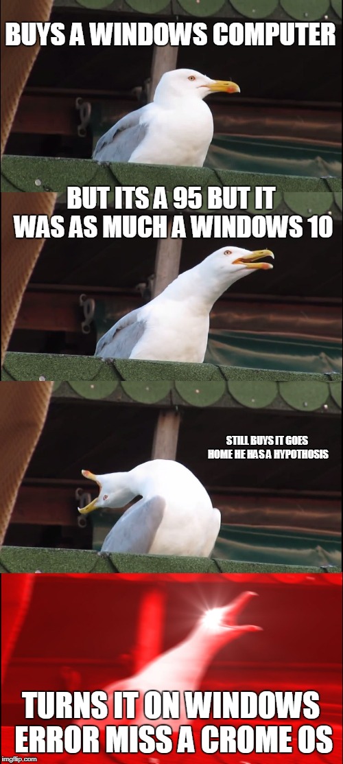 Inhaling Seagull Meme | BUYS A WINDOWS COMPUTER; BUT ITS A 95 BUT IT WAS AS MUCH A WINDOWS 10; STILL BUYS IT GOES HOME HE HAS A HYPOTHOSIS; TURNS IT ON WINDOWS ERROR MISS A CROME OS | image tagged in memes,inhaling seagull | made w/ Imgflip meme maker