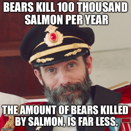 Did you know?  | BEARS KILL 100 THOUSAND SALMON PER YEAR; THE AMOUNT OF BEARS KILLED BY SALMON, IS FAR LESS. | image tagged in captain obvious large,memes,animal meme,bears,wilderness | made w/ Imgflip meme maker