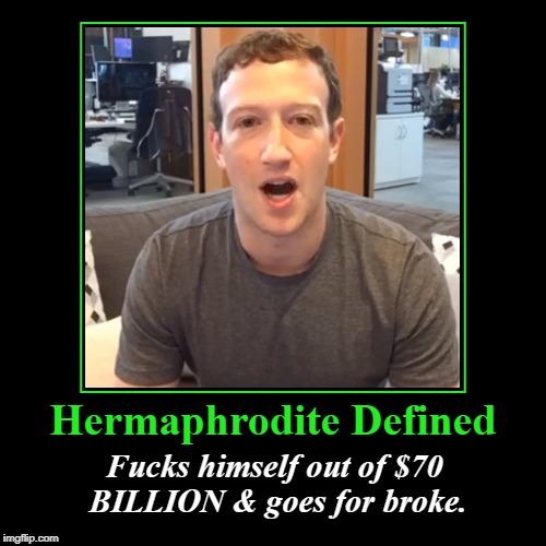 Hermaphrodite Mark Zuckerfuck | image tagged in funny,demotivationals,hermaphrodite,fucks himself,70 billion | made w/ Imgflip demotivational maker