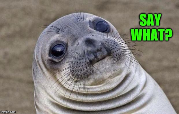 Say What Seal | SAY WHAT? | image tagged in memes,awkward moment sealion,seal pup,funny memes,say what | made w/ Imgflip meme maker