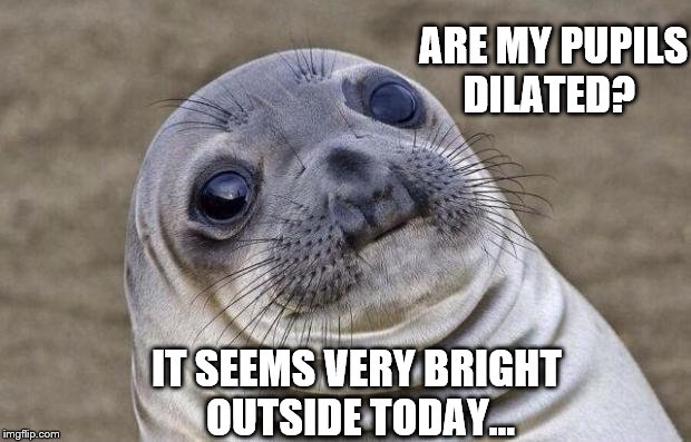 Dilated Pupil Seal Pup | ARE MY PUPILS DILATED? IT SEEMS VERY BRIGHT OUTSIDE TODAY... | image tagged in memes,awkward moment sealion,seal pup,dilated pupils | made w/ Imgflip meme maker