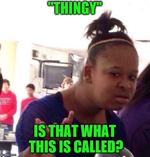 Black Girl Wat Meme | "THINGY" IS THAT WHAT THIS IS CALLED? | image tagged in memes,black girl wat | made w/ Imgflip meme maker