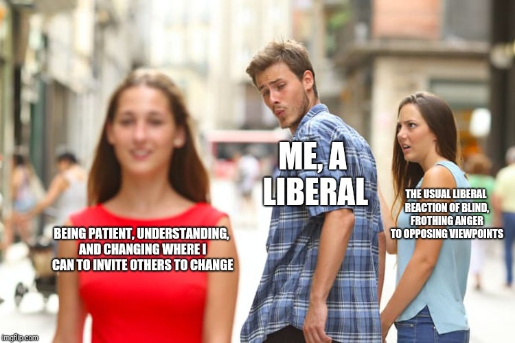 Distracted Boyfriend | ME, A LIBERAL; THE USUAL LIBERAL REACTION OF BLIND, FROTHING ANGER TO OPPOSING VIEWPOINTS; BEING PATIENT, UNDERSTANDING, AND CHANGING WHERE I CAN TO INVITE OTHERS TO CHANGE | image tagged in memes,distracted boyfriend | made w/ Imgflip meme maker