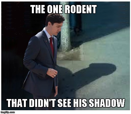 Trudeau the rodent  | THE ONE RODENT; THAT DIDN'T SEE HIS SHADOW | image tagged in justin trudeau,funny memes,funny meme,political meme | made w/ Imgflip meme maker