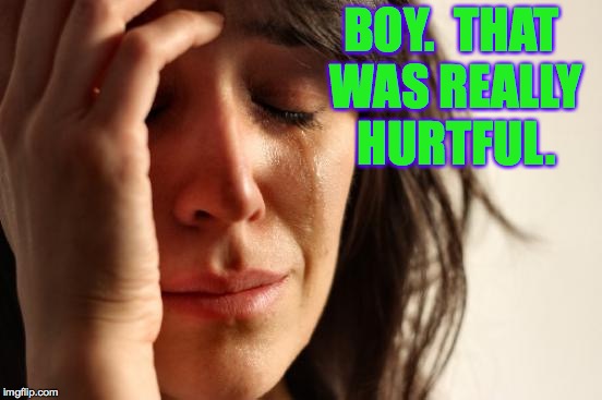First World Problems Meme | BOY.  THAT WAS REALLY HURTFUL. | image tagged in memes,first world problems | made w/ Imgflip meme maker