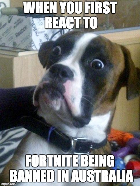Suprised Boxer | WHEN YOU FIRST REACT TO; FORTNITE BEING BANNED IN AUSTRALIA | image tagged in suprised boxer | made w/ Imgflip meme maker