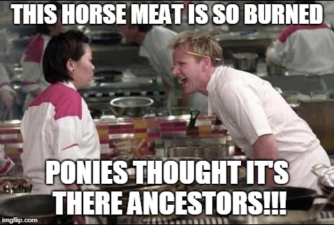Angry Chef Gordon Ramsay Meme | THIS HORSE MEAT IS SO BURNED; PONIES THOUGHT IT'S THERE ANCESTORS!!! | image tagged in memes,angry chef gordon ramsay | made w/ Imgflip meme maker