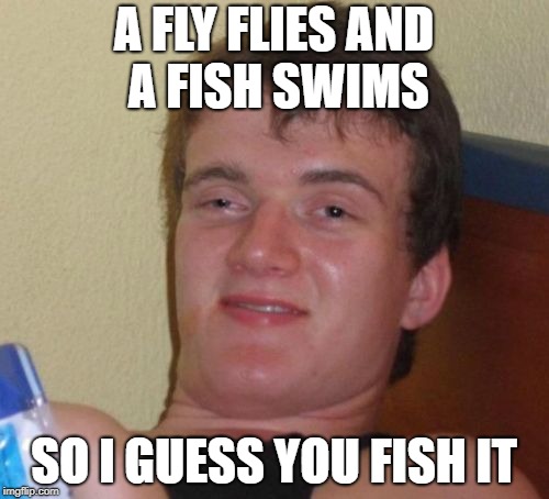 10 Guy Meme | A FLY FLIES AND A FISH SWIMS SO I GUESS YOU FISH IT | image tagged in memes,10 guy | made w/ Imgflip meme maker