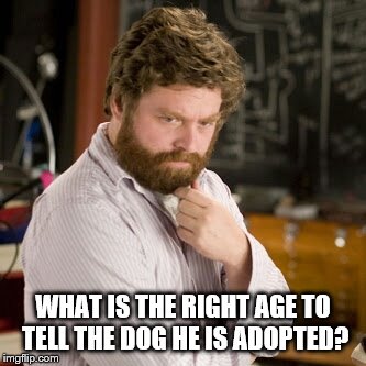 Pet Owners Be like... | WHAT IS THE RIGHT AGE TO TELL THE DOG HE IS ADOPTED? | image tagged in zack thinking,pet,dog | made w/ Imgflip meme maker