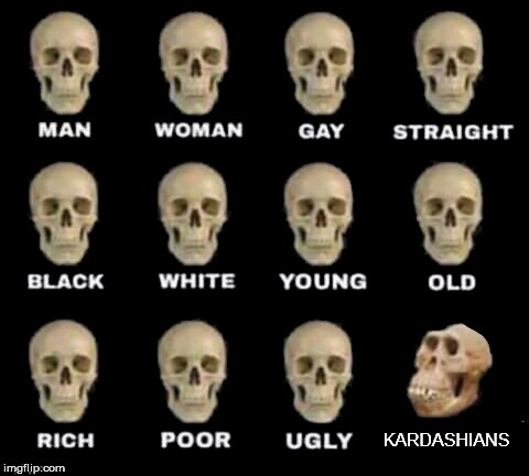 True skull statistic | KARDASHIANS | image tagged in idiot skull,kardashian idiot | made w/ Imgflip meme maker