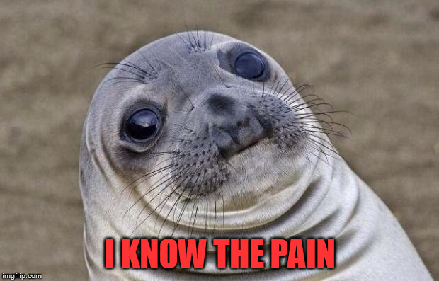 I KNOW THE PAIN | image tagged in memes,awkward moment sealion | made w/ Imgflip meme maker