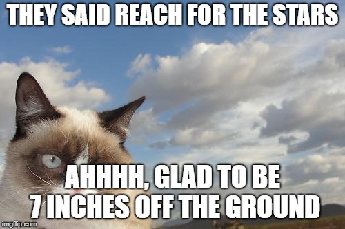 Grumpy Cat Sky | THEY SAID REACH FOR THE STARS; AHHHH, GLAD TO BE 7 INCHES OFF THE GROUND | image tagged in memes,grumpy cat sky,grumpy cat | made w/ Imgflip meme maker