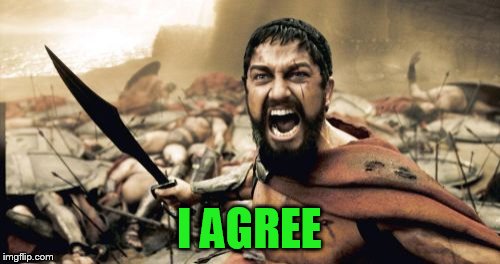 Sparta Leonidas Meme | I AGREE | image tagged in memes,sparta leonidas | made w/ Imgflip meme maker