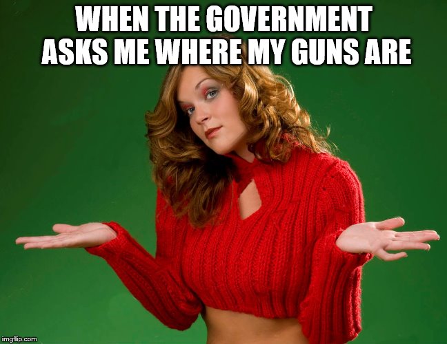 I must have misplaced them | WHEN THE GOVERNMENT ASKS ME WHERE MY GUNS ARE | image tagged in indecision,gun control,2nd amendment,political humor | made w/ Imgflip meme maker