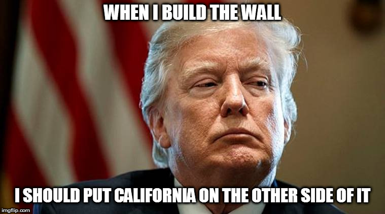 WHEN I BUILD THE WALL I SHOULD PUT CALIFORNIA ON THE OTHER SIDE OF IT | made w/ Imgflip meme maker