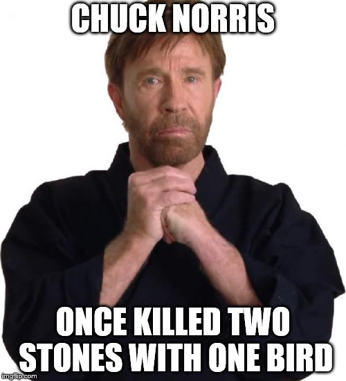 Determined Chuck Norris | CHUCK NORRIS; ONCE KILLED TWO STONES WITH ONE BIRD | image tagged in determined chuck norris | made w/ Imgflip meme maker