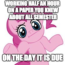pinkie shrugs | WORKING HALF AN HOUR ON A PAPER YOU KNEW ABOUT ALL SEMESTER; ON THE DAY IT IS DUE | image tagged in pinkie shrugs | made w/ Imgflip meme maker