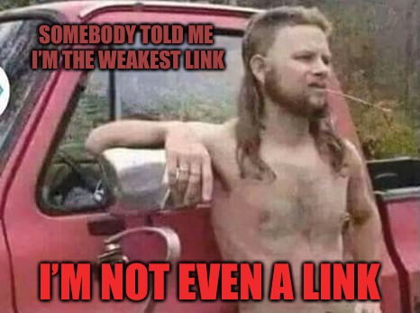 Weakest Links  | SOMEBODY TOLD ME I’M THE WEAKEST LINK; I’M NOT EVEN A LINK | image tagged in okie red neck hates isis jehadie biatches,weak,country music,country  western | made w/ Imgflip meme maker