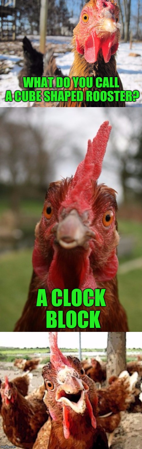 bad pun chicken | WHAT DO YOU CALL A CUBE SHAPED ROOSTER? A CLOCK BLOCK | image tagged in bad pun chicken | made w/ Imgflip meme maker