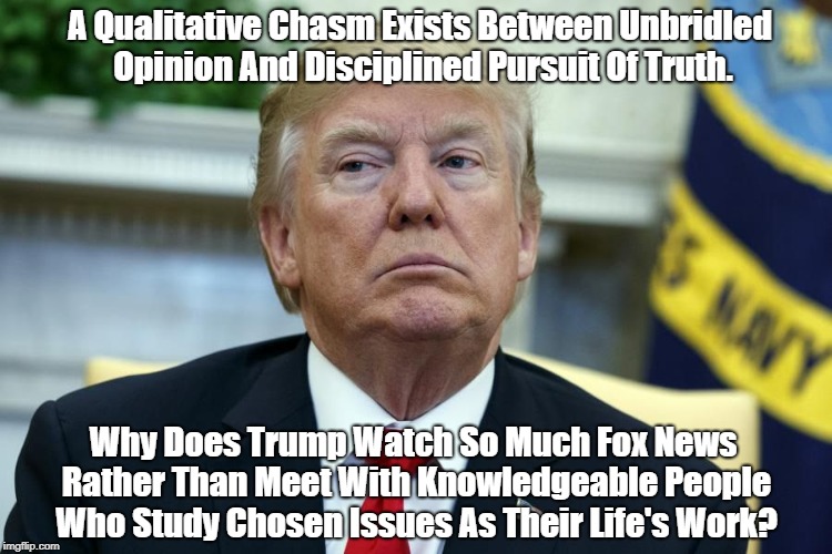 "The Abyssal Chasm Between Opinion And Truth" | A Qualitative Chasm Exists Between Unbridled Opinion And Disciplined Pursuit Of Truth. Why Does Trump Watch So Much Fox News Rather Than Meet With Knowledgeable People Who Study Chosen Issues As Their Life's Work? | image tagged in deceptive donald,devious donald,dishonest donald,deplorable donald,detestable donald,mendacious donald | made w/ Imgflip meme maker