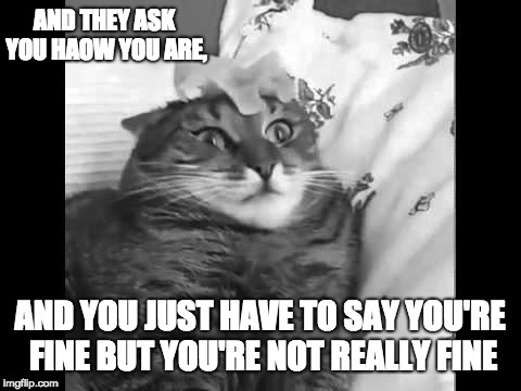 AND THEY ASK YOU HAOW YOU ARE, AND YOU JUST HAVE TO SAY YOU'RE FINE BUT YOU'RE NOT REALLY FINE | image tagged in cats | made w/ Imgflip meme maker