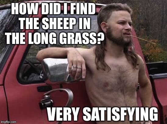 Find the sheep.. | HOW DID I FIND THE SHEEP IN THE LONG GRASS? VERY SATISFYING | image tagged in almost politically correct redneck red neck,sheep,sheeple | made w/ Imgflip meme maker