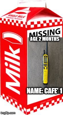Missing | AGE 2 MONTHS; NAME: CAFE' 1 | image tagged in missing | made w/ Imgflip meme maker