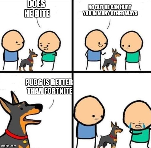 Dog Hurt Comic | DOES HE BITE; NO BUT HE CAN HURT YOU IN MANY OTHER WAYS; PUBG IS BETTER THAN FORTNITE | image tagged in dog hurt comic | made w/ Imgflip meme maker