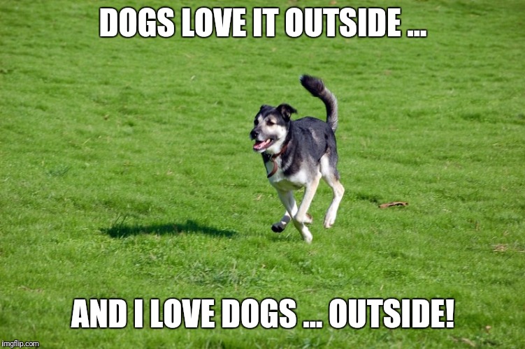 DOGS LOVE IT OUTSIDE ... AND I LOVE DOGS ...
OUTSIDE! | image tagged in dogs belong outside | made w/ Imgflip meme maker