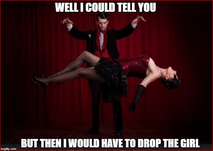 WELL I COULD TELL YOU BUT THEN I WOULD HAVE TO DROP THE GIRL | made w/ Imgflip meme maker