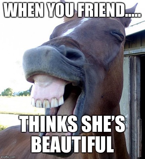 Funny Horse Face | WHEN YOU FRIEND..... THINKS SHE’S BEAUTIFUL | image tagged in funny horse face | made w/ Imgflip meme maker