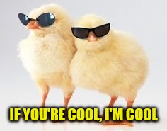 IF YOU'RE COOL, I'M COOL | made w/ Imgflip meme maker