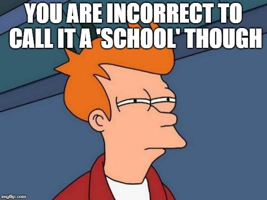 Futurama Fry Meme | YOU ARE INCORRECT TO CALL IT A 'SCHOOL' THOUGH | image tagged in memes,futurama fry | made w/ Imgflip meme maker