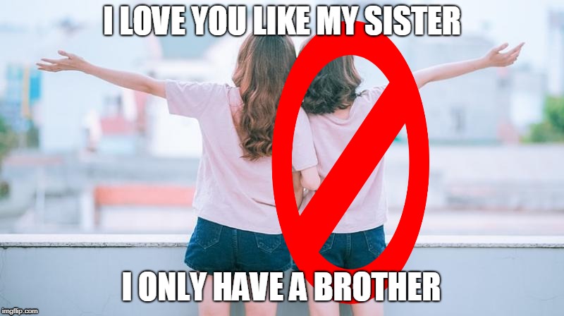 I LOVE YOU LIKE MY SISTER; I ONLY HAVE A BROTHER | image tagged in no sister,brother,lol,funny,hate u,love u | made w/ Imgflip meme maker