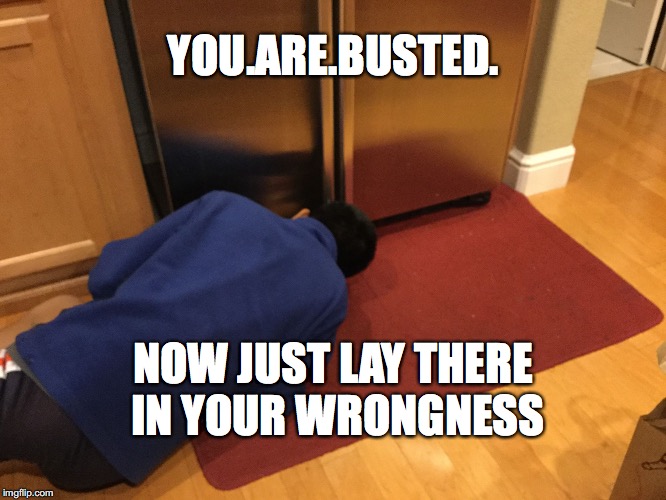 Sad fridge man | YOU.ARE.BUSTED. NOW JUST LAY THERE IN YOUR WRONGNESS | image tagged in sad fridge man | made w/ Imgflip meme maker