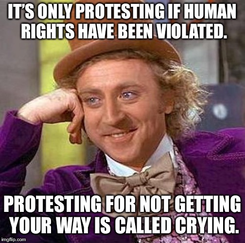 Logic  | IT’S ONLY PROTESTING IF HUMAN RIGHTS HAVE BEEN VIOLATED. PROTESTING FOR NOT GETTING YOUR WAY IS CALLED CRYING. | image tagged in memes | made w/ Imgflip meme maker