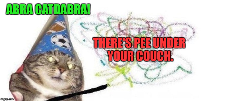 Just like magic! | ABRA CATDABRA! THERE'S PEE UNDER YOUR COUCH. | image tagged in high wizard cat,cats,cat | made w/ Imgflip meme maker
