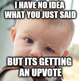 Skeptical Baby Meme | I HAVE NO IDEA WHAT YOU JUST SAID BUT ITS GETTING AN UPVOTE | image tagged in memes,skeptical baby | made w/ Imgflip meme maker