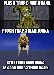 (yes i mean to add the bad spelling so don't say that i need grammar lessons) | PLUSH TRAP 0 MARIJUANA; PLUSH TRAP 3 MARIJUANA; STILL THINK MARIJUANA IS GOOD DRUG? THINK AGAIN | image tagged in funny,marijuana,memes,fanf,im not a fanf fan | made w/ Imgflip meme maker