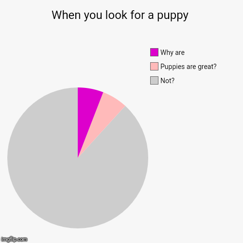 When you look for a puppy | Not?, Puppies are great?, Why are | image tagged in funny,pie charts | made w/ Imgflip chart maker