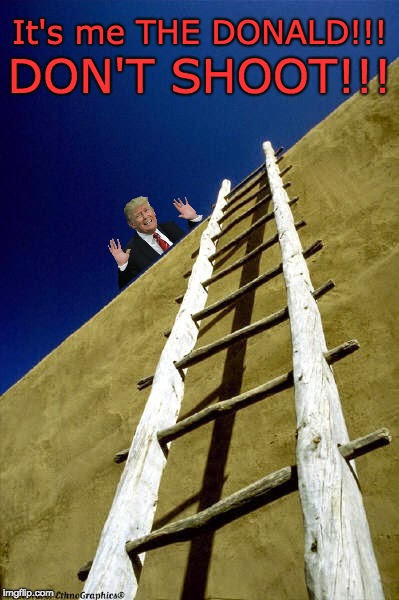 It's me THE DONALD!!! DON'TSHOOT!!! | DON'T SHOOT!!! It's me THE DONALD!!! | image tagged in trump wall,build a wall,don't shoot,trump,the donald,border wall | made w/ Imgflip meme maker