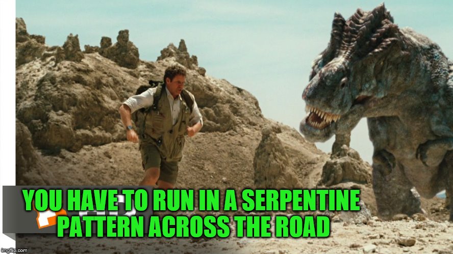 YOU HAVE TO RUN IN A SERPENTINE PATTERN ACROSS THE ROAD | made w/ Imgflip meme maker