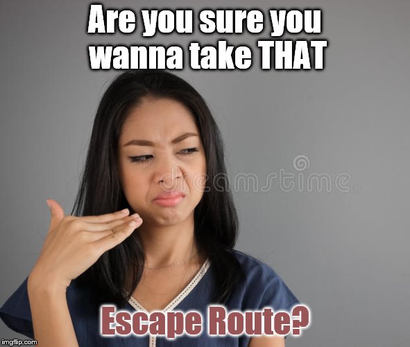 Are you sure you wanna take THAT Escape Route? | made w/ Imgflip meme maker