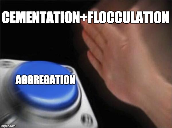 Blank Nut Button Meme | CEMENTATION+FLOCCULATION; AGGREGATION | image tagged in memes,blank nut button | made w/ Imgflip meme maker