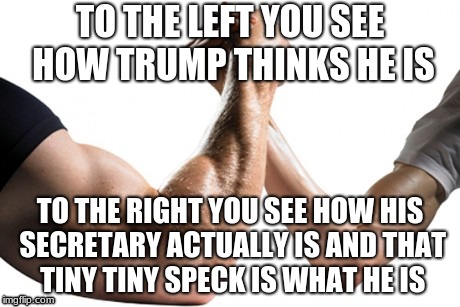 Strong Vs. Weak | TO THE LEFT YOU SEE HOW TRUMP THINKS HE IS; TO THE RIGHT YOU SEE HOW HIS SECRETARY ACTUALLY IS AND THAT TINY TINY SPECK IS WHAT HE IS | image tagged in strong vs weak | made w/ Imgflip meme maker