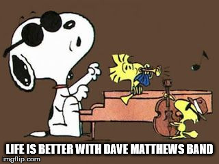 LIFE IS BETTER WITH DMB | LIFE IS BETTER WITH DAVE MATTHEWS BAND | image tagged in dmb,dave matthews band,snoopy,peanuts,woodstock,music | made w/ Imgflip meme maker